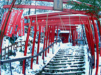 幽界の歪曲視界