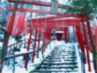 幽界のぼやけた視界